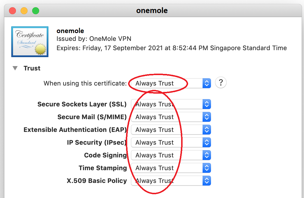 Setup OneMole IKEv1 VPN on MacOS High Sierra - Step 7